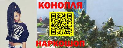 mix Будённовск