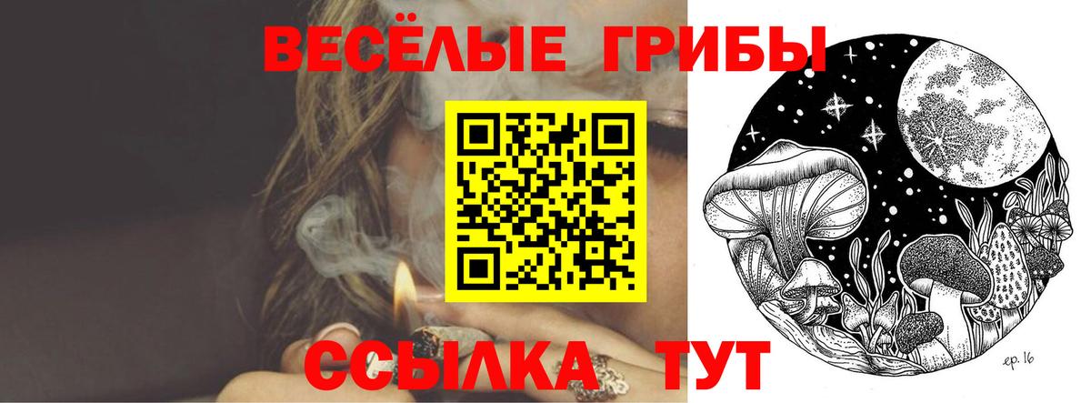 Кыштым  Галлюциногенные грибы Cubensis  Вход с VPN  Галлюциногенные грибы Magic Shrooms 
