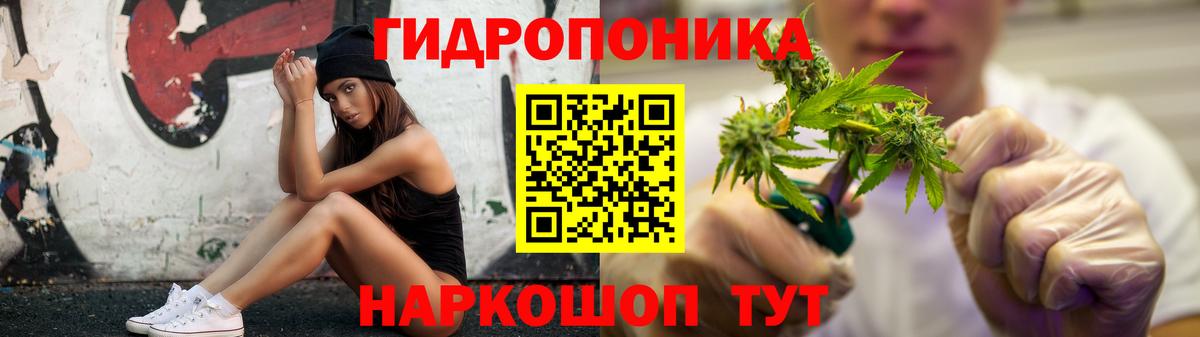 Шишки марихуана конопля Кыштым